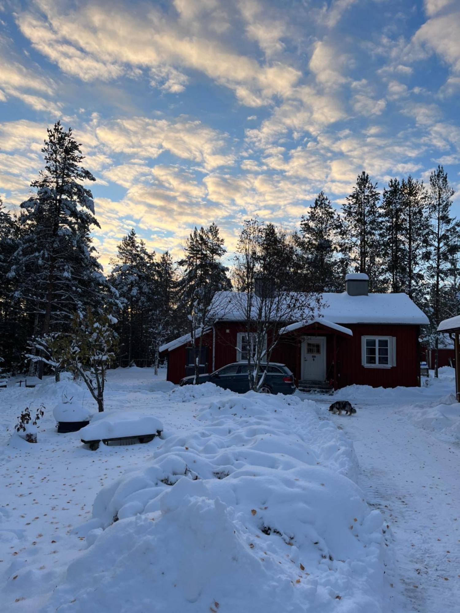 Nya Skogsgarden Hostel Mårbacken Eksteriør billede